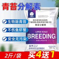 青苔克星护草生物除青苔净水产养殖鱼塘虾蟹塘杀青苔去除剂分解素 青苔分解素2斤/袋