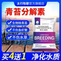 青苔净青苔克星分解素水产养殖鱼塘虾蟹塘池塘护草杀除青苔分解酶 青苔分解素2斤/袋