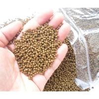 乌龟饲料龟粮石金钱龟黄缘草龟补钙幼龟小乌龟鳄龟小巴西龟粮饲料 小颗粒50g试吃装