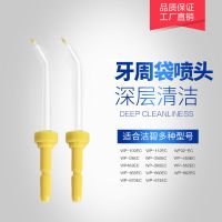 适合洁碧冲牙器配件标准喷头手柄配件牙周喷头正奇喷头 标准牙周喷头[2支]