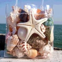 天然贝壳海螺海星珊瑚枝套装海洋生物标本螺鱼缸水族摆件用品 天然海螺贝壳海星套餐