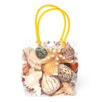 天然海螺贝壳海星珊瑚套装水族箱鱼缸造景装饰品旅游礼物摆件 1袋海螺贝壳海星套餐