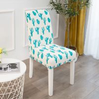 弹力椅子套罩通用餐桌椅套靠背垫万能凳子套布艺印花家用餐座椅套 北欧仙人掌 1件装