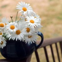 [送送送]被子收纳袋子装衣服超大容量巨无霸家用神器防潮尘安全 [送送送]101L巨无霸 [送一个]水草款