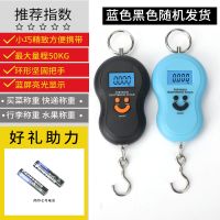 称家用小秤手提电子秤10公斤50kg便携式高精度家用手称弹簧称小型 标准款手提秤