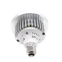 LED主播吃播补光摄影棚器材拍照柔光灯泡拍摄摄影遥控双色蘑菇灯 85W白光(5500K)