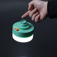 USB充电灯泡停电应急照明灯家用式移动超亮户外led夜市摆摊地摊灯 苹果绿充电灯60W(发一个)