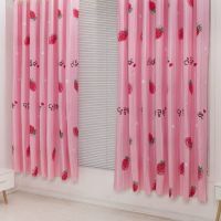 简易窗帘成品特价清仓小窗租房宿舍便宜半遮光短帘半帘窗帘布 草莓 宽1.0高2.25挂钩窗帘 1片