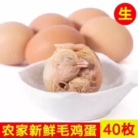 [21天毛蛋]新鲜毛喜蛋鸡胚20/40个 21天毛蛋20个