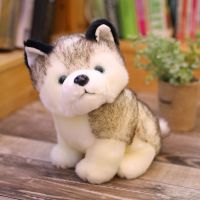可爱仿真哈士奇公仔毛绒玩具小狗狗二哈玩偶小号娃娃女孩生日礼物 仿真哈士奇 20厘米小号
