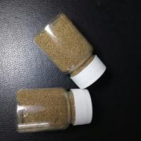 蓝曼龙鱼不用打氧鱼 好养宠物活体热带淡水丝足鱼布景草缸用鱼 曼龙鱼食小颗粒2瓶约100克