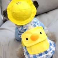 幼稚园狗狗衣服猫咪兔子夏季薄款泰迪搞怪宠物春夏秋帽子宠物用品 幼稚园-薄款 XS建议1-2斤