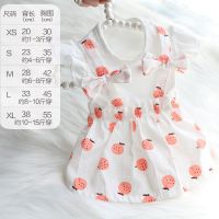 狗狗衣服夏季薄款裙子泰迪比熊猫咪兔子小型犬水果裙可爱宠物衣服 夏日水果裙-橘色 XS号(约1-3斤穿)具体看尺寸