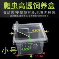 蚕宝宝饲养盒爬宠饲养盒蜘蛛守宫蜥蜴蝎子蜈蚣角蛙甲虫饲养箱 小号透气饲养盒3个
