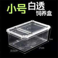 爬虫爬宠饲养盒守宮蜥蜴蝎子蜘蛛角蛙甲虫昆虫寄居乌龟塑料饲养箱 小号19*13*7.5白透 小型喂食盒(不选套餐的拍这个)