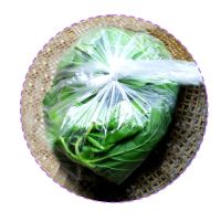 新鲜桑叶蚕宝宝套装农家现摘特嫩大小蚕叶七彩饲料天然彩蚕桑树苗 新鲜桑叶100克(买二送一