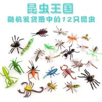【儿童玩具】仿真昆虫玩具动物模型蜜蜂苍蝇知了蜘蛛儿童礼物 随机12只昆虫