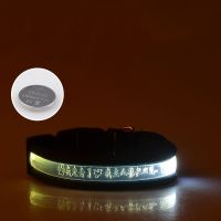 LED宠物狗狗发光项圈可充电刻字狗牌狗脖圈 金毛泰迪夜光脖套用品 电池款白色 XS超小型(彩色织带)30-40cm