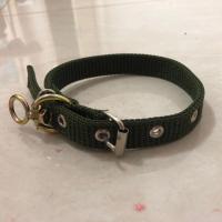 狗狗宠物用品狗脖圈狗圈中大小型圈犬狗狗用品狗狗牵引绳 军绿色 单排扣宽2cm 重量建议15斤内