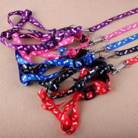 猫绳猫咪牵引绳防挣脱拴猫绳遛猫绳猫咪链子小猫绳子猫链宠物用品 胸背型(不防挣脱-颜色随机发) 送铃铛球