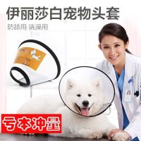 伊丽莎白圈宠物狗狗头套防咬防舔金毛萨摩耶中大型犬伊利沙白圈 (6号)适合颈围14.5-21cm