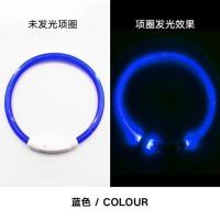 狗狗发光项圈 usb充电脖圈大型宠物夜光颈圈泰迪小型犬夜间遛狗灯 蓝色 35CM(适合小奶狗小猫)