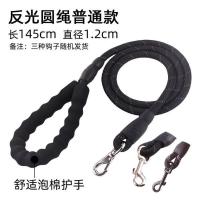 宠物牵引绳缓冲弹簧牵引带外出反光牵引器遛狗绳猫狗夜光小狗用品 普通款黑色