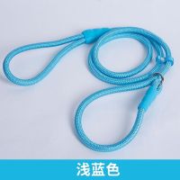 狗狗牵引绳p链项圈遛狗绳金毛萨摩大型犬中型犬泰迪小型犬狗链子 浅蓝色 S-[建议15斤内]