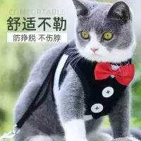 ASONPET宠物狗狗用品狗牵引绳工字薄款胸背带 小型犬牵引绳狗链子 黑色领结 胸背带牵引 S