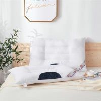 【厂家清仓】决明子荞麦皮磁石护颈椎家用成人枕头枕芯可水洗一对 经典白磁石枕【48*74】 1只装