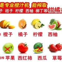 当好妈手动榨橙汁机橙子柠檬榨汁器原汁柳橙机柑橘榨汁机电动家用