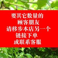 开柚器剥柚子皮开柚子神器剥柚器剥橙器开橙器橘子橙子去皮剥皮器 散装 5只