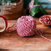 包粽子神器端午包粽的模具快速模型工具机器具家用四角三角粽商用 粽叶搭配:红白棉绳100米