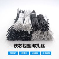 电线捆绑扎线 铁芯扎丝1000条 塑料扎带数据电源线 电子元器配件 10厘米 0.45圆 黑色1000条