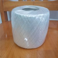 500克全新料捆扎球捆扎绳塑料绳打包绳尼龙绳捆绑绳草裙绳搬家绳 500克白色大球