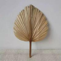 扇子大蒲扇芭蕉扇老式手摇葵扇手工绘画扇舞蹈老人济公扇有瑕疵 A款