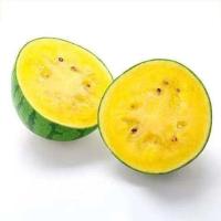 断裂换新】皮带男士休闲自动扣皮带商务百搭男装腰带 金色四叶【休闲百搭】-- 99.86#工艺精湛*收藏//1