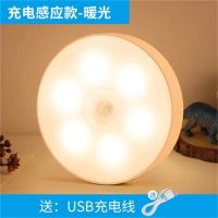 视贝LED人体感应灯床头卧室家用起夜充电池小夜灯楼道过道不插电 充电款-光控+人体双感应-单暖光