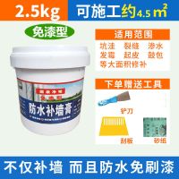 补墙膏防水室内墙面修补翻新家用白色墙体修复免漆防霉防潮腻子粉 2500克净味防水补墙膏约4.5平方