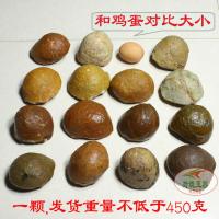 巴西天然玛瑙原石毛料赌水胆玛瑙摆件奇石手把件料招财聚宝盆聚财 原石450克左右