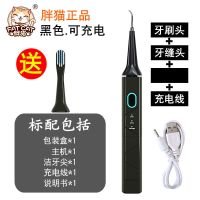 胖猫清洗牙结石去除器家用超声波洁牙器牙渍清洁机电动牙刷牙神器 洁牙神器丨收藏丨优先发货 基础黑丨配尖头+刷头