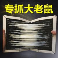 粘鼠板贴强力加大加厚抓老鼠蟑螂一窝端神器驱灭鼠胶克星