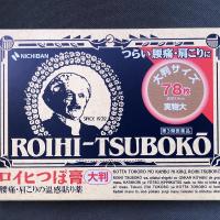日本大判老人头颈椎贴膏温感镇痛腰酸肌肉疲劳膝盖关节疼痛贴 78枚