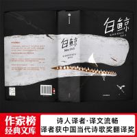 《白鲸》超级小说神作 所有你失去的都会以另一种方式归来 作家榜