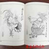 中国画线描百鸡画谱 线描白描底稿技法国画工笔画花鸟翎毛画谱 中国画线描百鸡