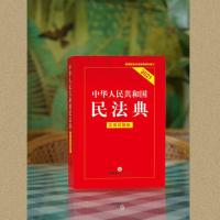 新民法典2020年中华人民共和国民法典实用问题版注释本含司法解释