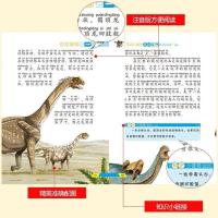 彩图注音儿童大百科全书恐龙动物世界科学海洋生物十万个为什么书 中国儿童百科全书-名校彩图注音