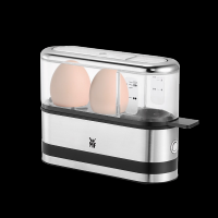 德国煮蛋器蒸蛋器小型1人蒸鸡蛋器家用多功能迷你早餐机神器|不锈钢