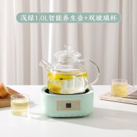 养生壶家用多功能小型mini玻璃煮茶器炉老白茶黑茶专用煮茶壶 1人|[智能款]抹茶绿1.0L双杯套装