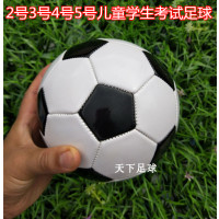儿童足球 2号3号4号5号足球 迷你小足球训练幼儿园宝宝足球拍皮球